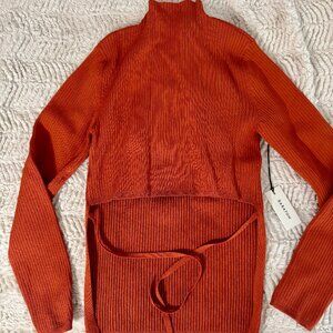 Red/orange Aritzia turtleneck